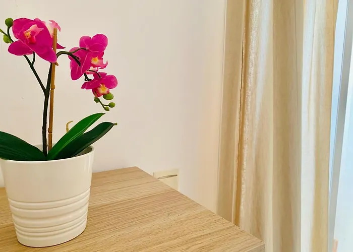 Homely Parras Con Terraza Interior Y Parking Privado Bajo Suplemento *